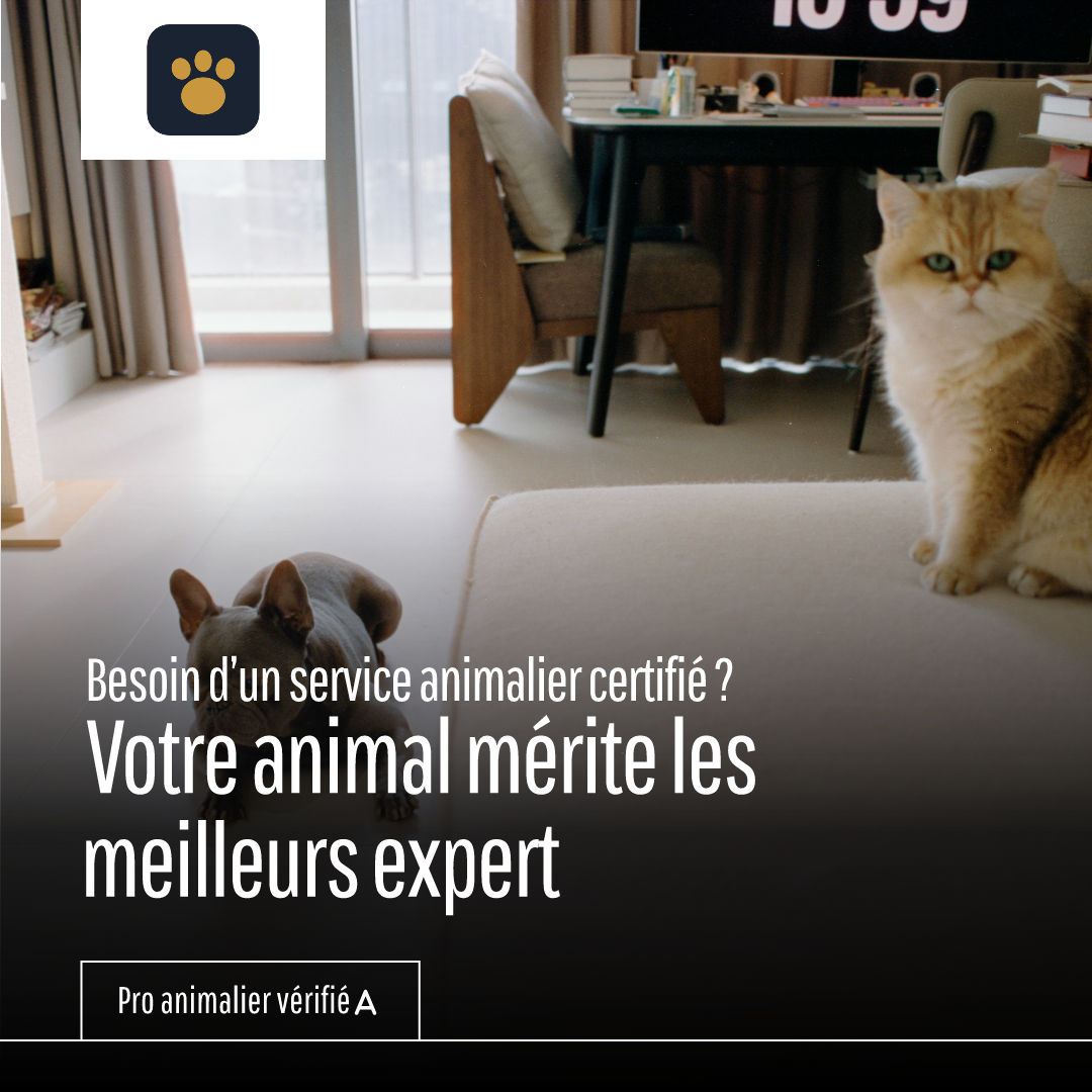 Experts animaliers certifiés