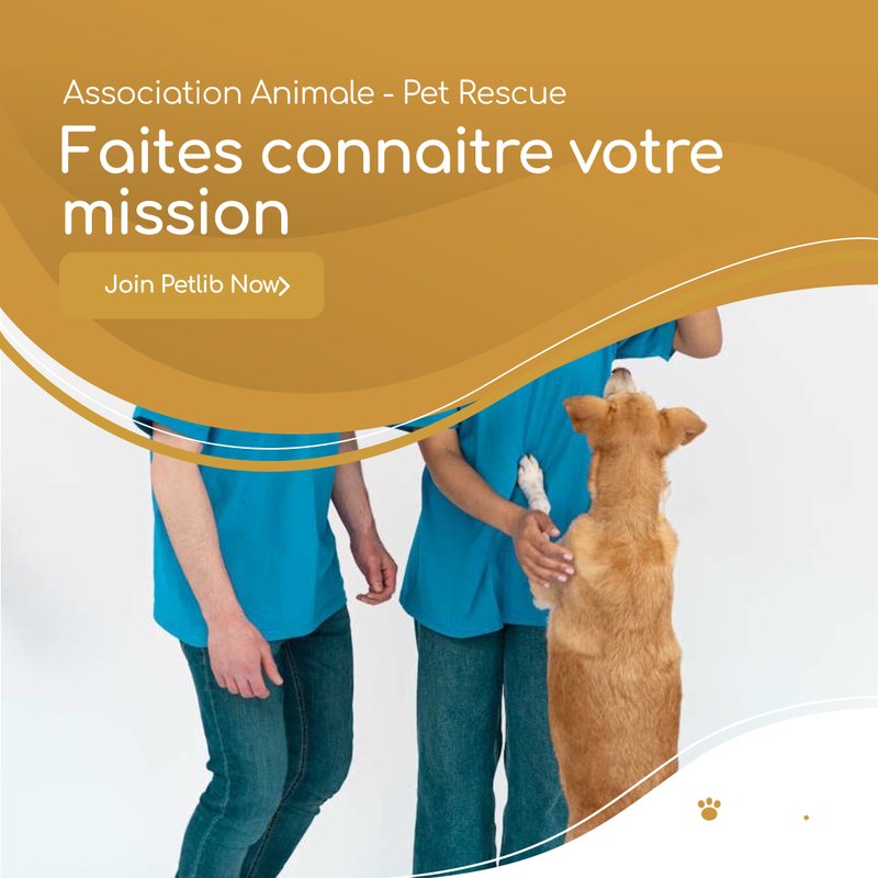 Association animale et bénévoles avec un chien à Dampierre-en-Graçay