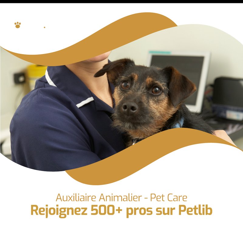 Auxiliaire animalier en soin à La Ferté-Saint-Samson