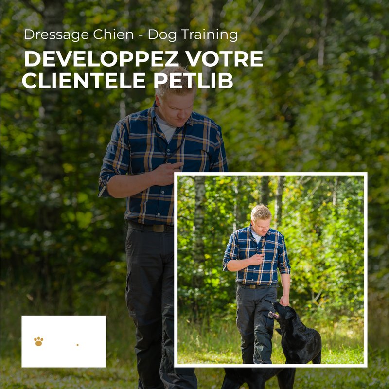 Chien de sécurité malinois en service à Orange