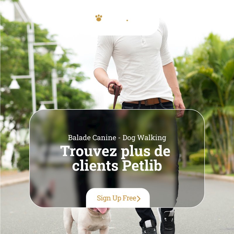 Communication animale avec un chien à Saint-Bonnet-le-Château