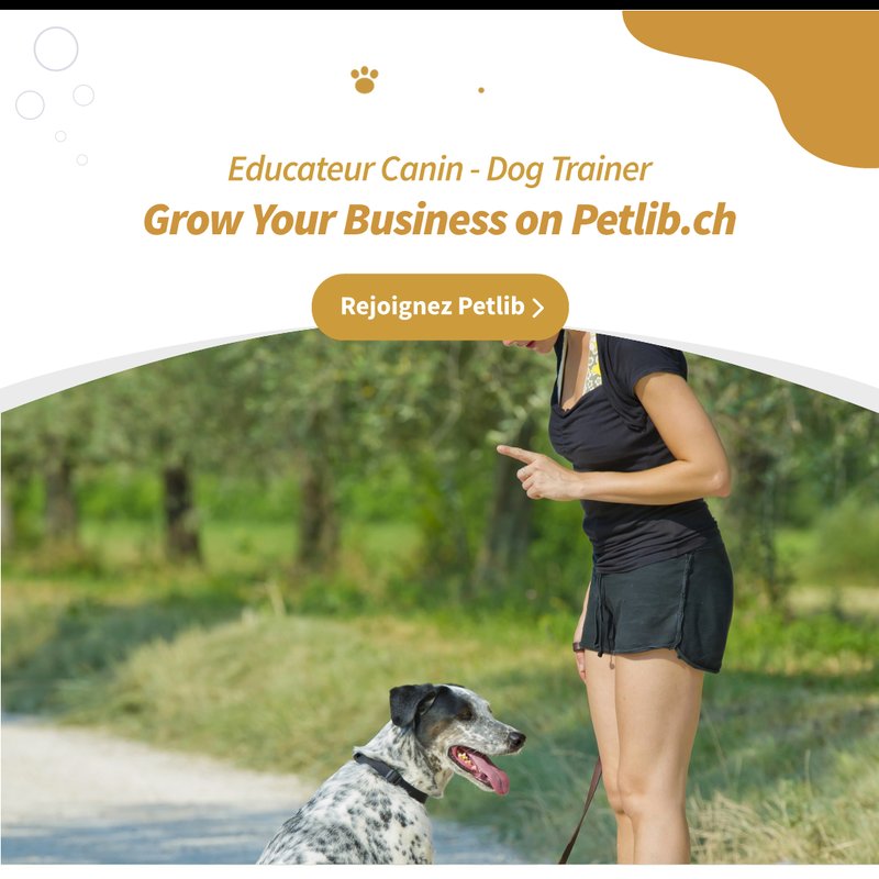 Éducateur canin professionnel avec un chien heureux à La Ferté-Saint-Samson