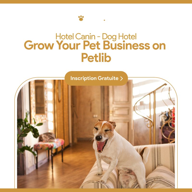 Hôtel canin avec chien confortable à La Ferté-Saint-Samson