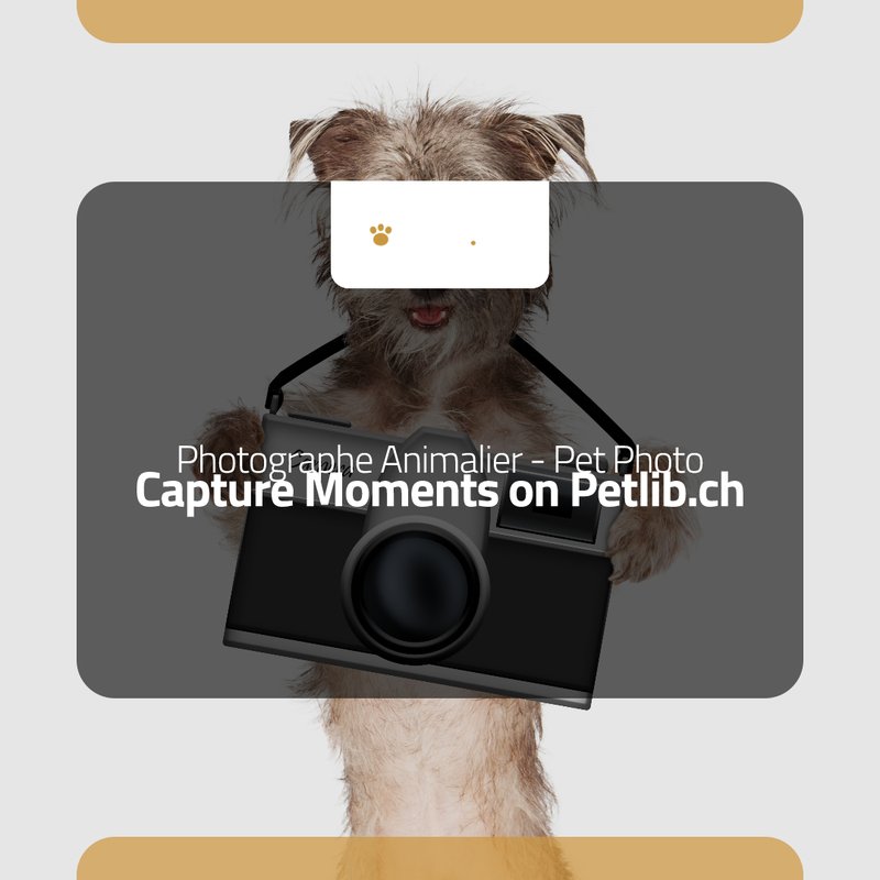 Photographe animalier en séance photo à La Ferté-Saint-Samson