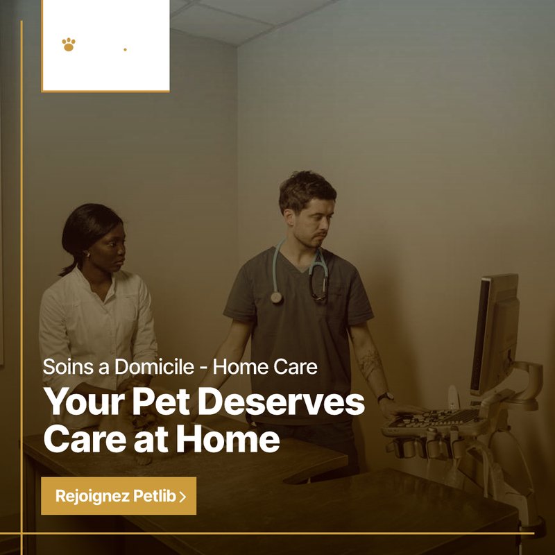 Soins vétérinaires à domicile à La Ferté-Saint-Samson