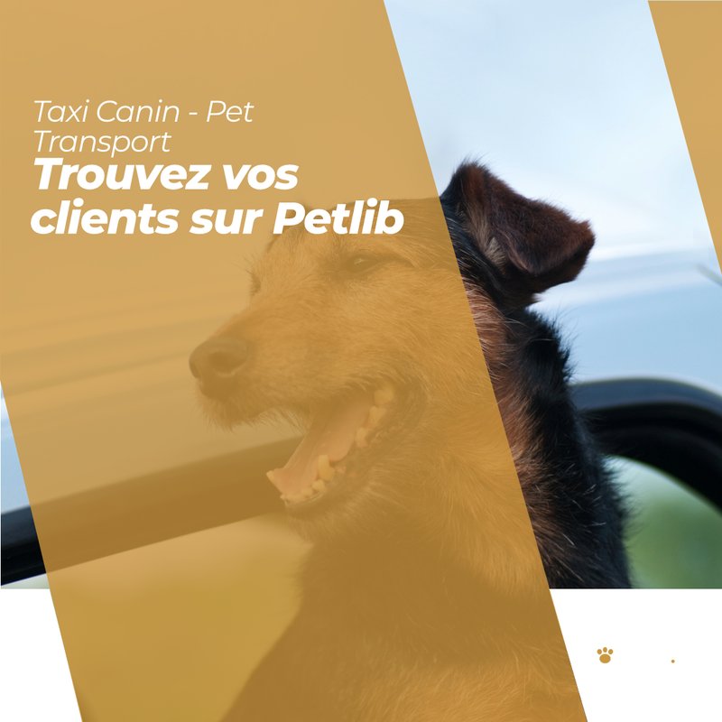 Taxi canin transportant un chien à La Ferté-Saint-Samson