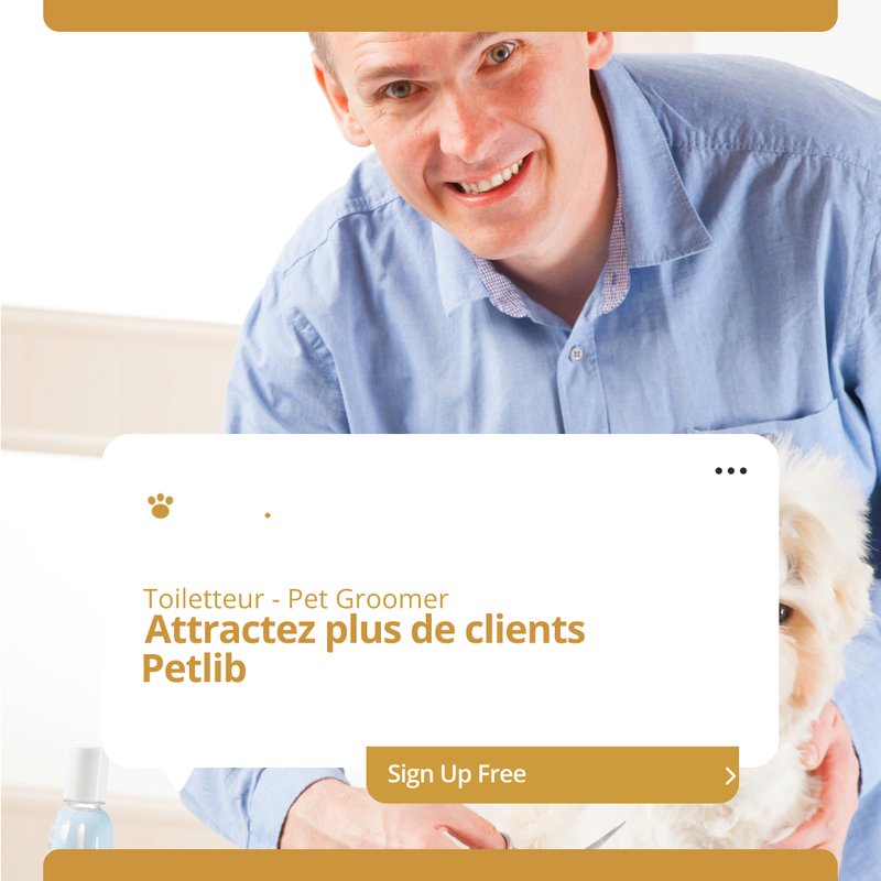 Toiletteur professionnel toilettant un chien à La Ferté-Saint-Samson